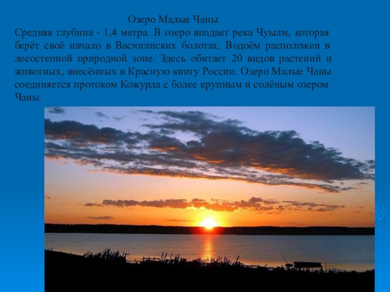 В озеро имеющее среднюю глубину. Озеро Чаны рассвет. Озеро Чаны легенды. Озеро Чаны описание. Озеро Чаны климат.