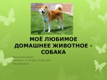 Проектно - исследовательская работа Моё любимое животное