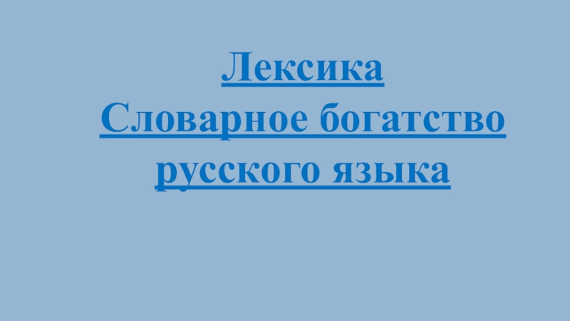 1 лексическое богатство речи