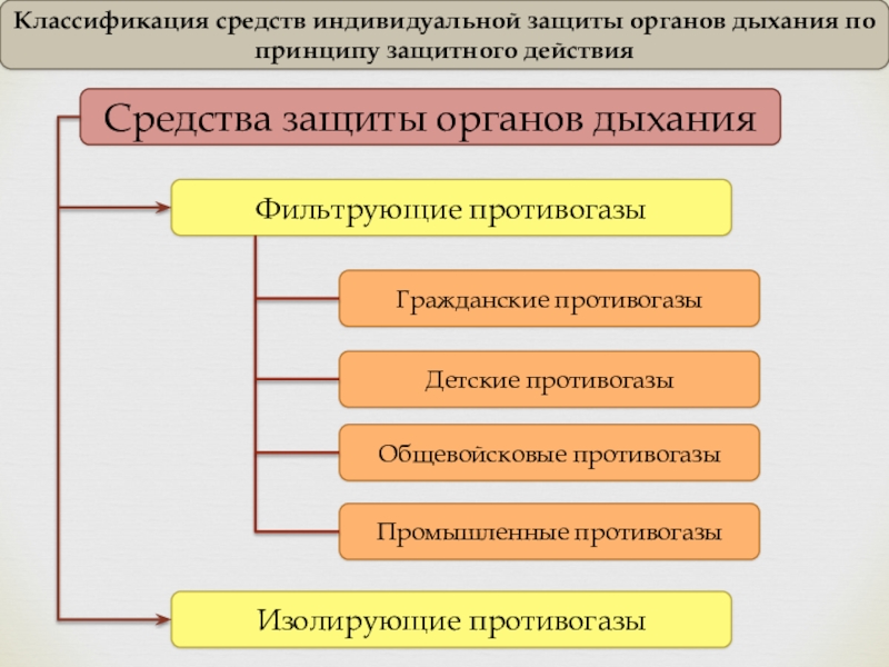 Сиз презентация обж 10 класс