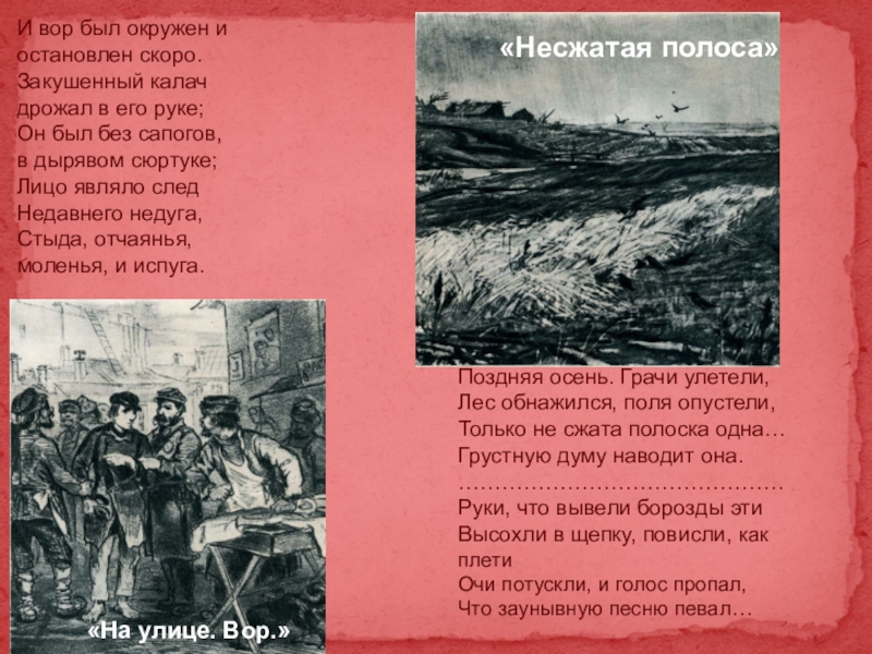 Несжатая как пишется. Стихотворение Некрасова поздняя осень Грачи улетели. Только Несжатая полоска одна грустную Думу наводит она. Несжатая полоса Некрасов. Стихотворение Несжатая полоса.