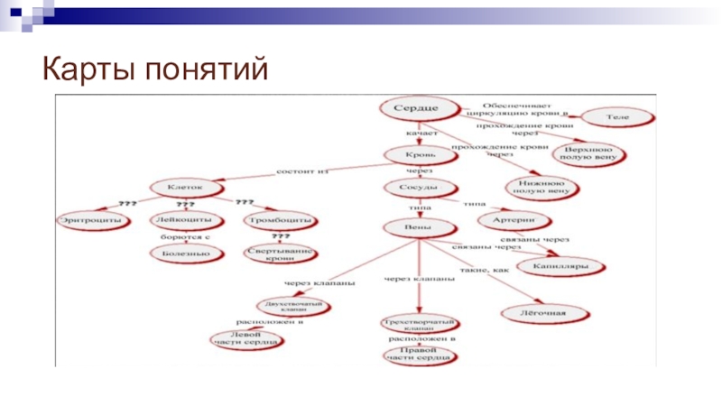 Карта понятий