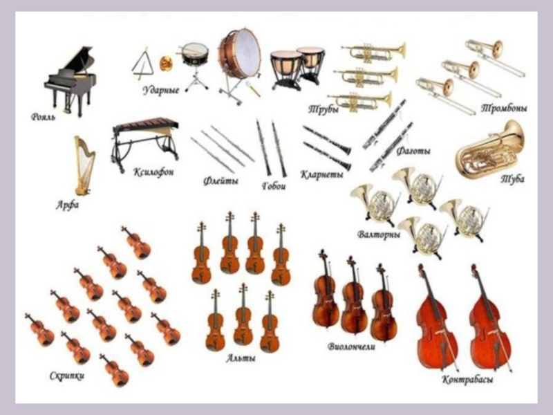 Перечислите группы симфонического оркестра. Схема музыкальных инструментов симфонического оркестра. Симфонический оркестр состав инструментов. Инструменты имфоническая аркеста. Оркестровые инструменты.