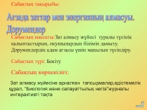 Ағзадағы зат алмасу. Дәрумендердің маңызы