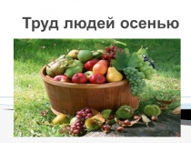 Презентация Тема: Труд людей осенью