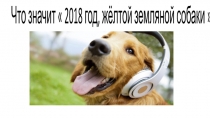 Презентация Год желтой собаки