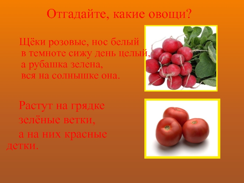 Угадай какого лета. Викторина про овощи. Щеки розовые нос белый в темноте сижу день. Растёт на грядке зелёная ветка а на ней красные детки. Отгадай загадку растёт на грядке зелёная ветка она ней красные детки.