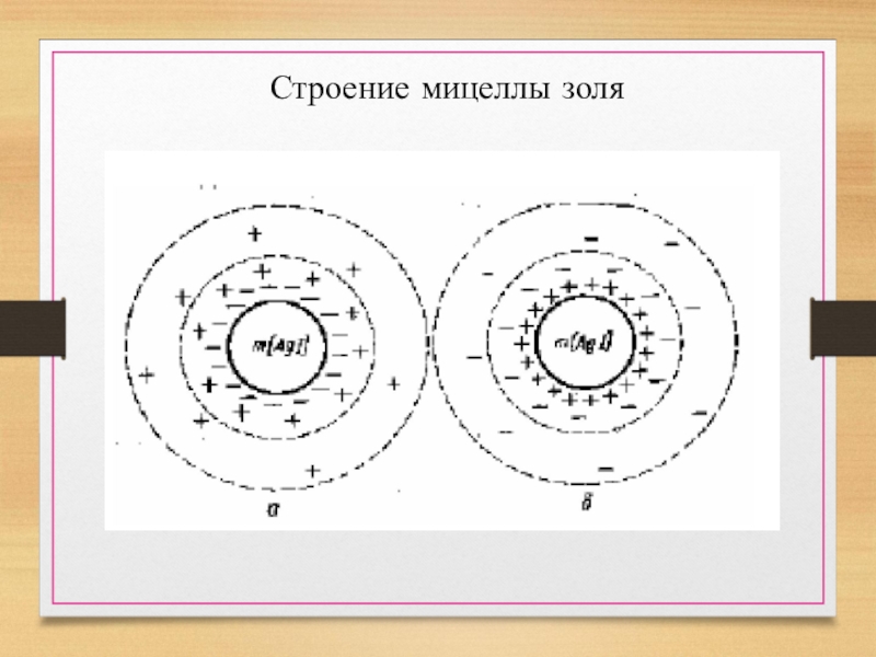 Схема строения мицеллы золя