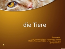 Презентация по немецкому языку Животные