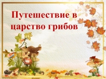 Путешествие в царство грибов