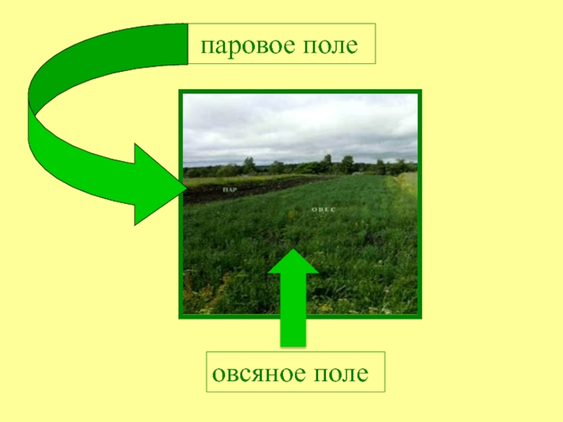 Паровое поле. Паровое поле это объяснить детям. Паровое поле картинка. Пар поле.