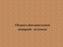 Презентация по биологии  Опорно-двигательная система человека ( 8 класс)