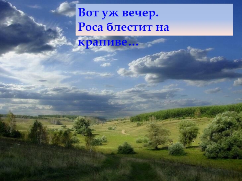 Вот уж вечер тема. Есенин роса блестит на крапиве. Стих Есенина вот уж вечер.