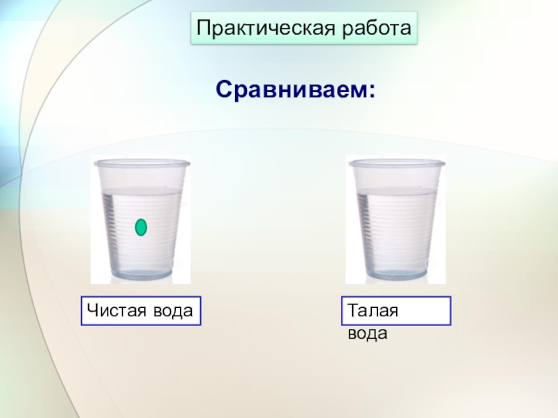 Проект чистый ли снег