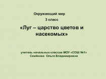 Презентация по окружающему миру 3 класс Луг-царство цветов и насекомых