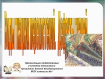 Презентация Виды ткацких переплетений