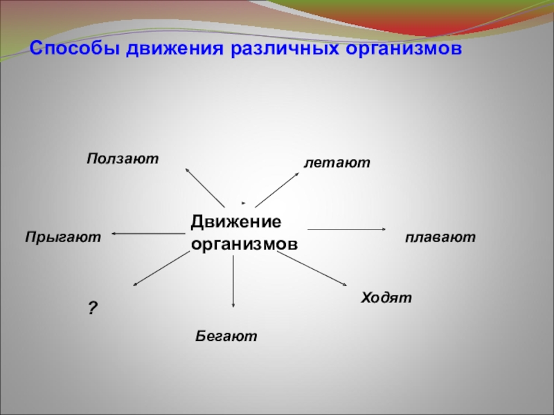 Движение организмов картинки