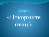 Презентация по экологической акции Покормим птиц зимой