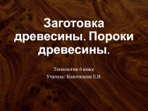 Презентация по технологии Заготовка древесины. Пороки древесины 6 класс.