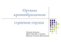 Презентация Органы кровообращения: строение сердца