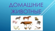 Призентация на тему домашние животные