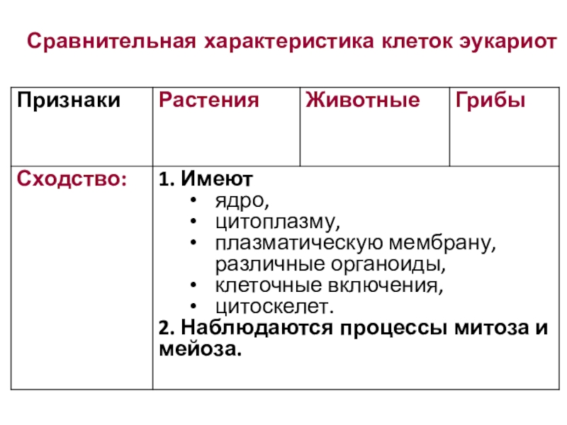 Сравнительная характеристика клеток эукариот