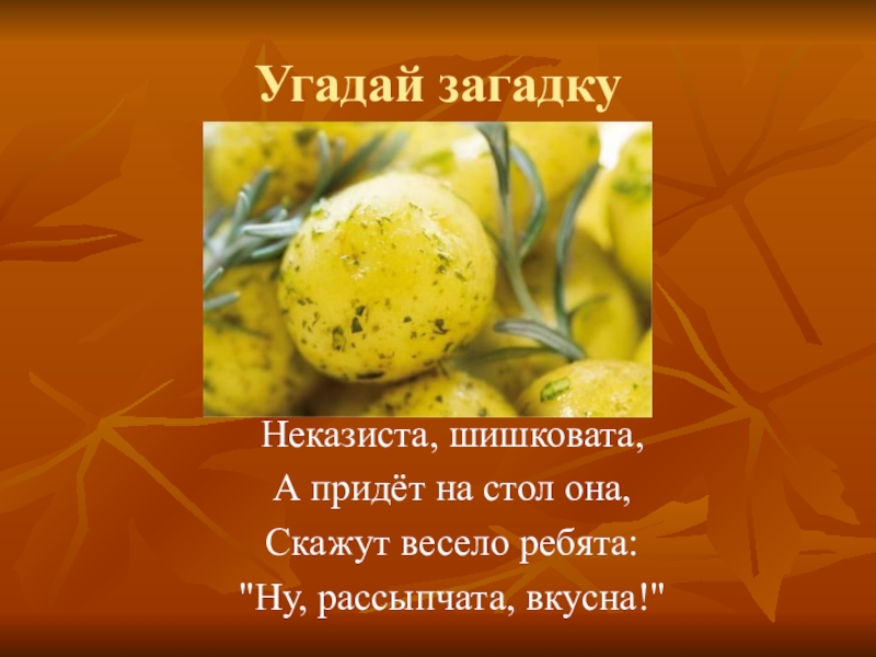 Неказиста шишковата а придет на стол она скажут весело