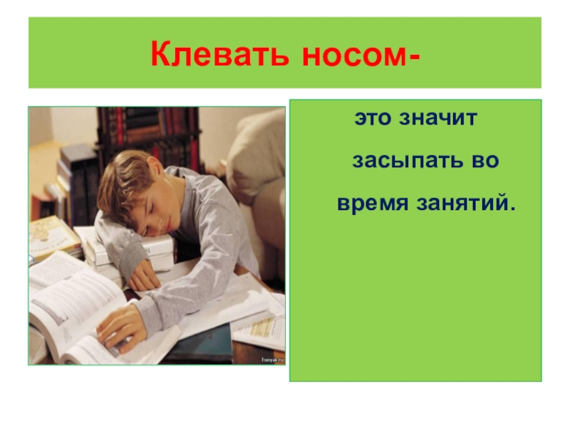 Клевать носом это. Клевать носом фразеологизм. Что значит клевать носом. Как это клевать носом. Клевать носом значение.