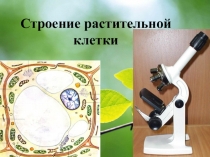 Презентация по биологии на тему Клетка