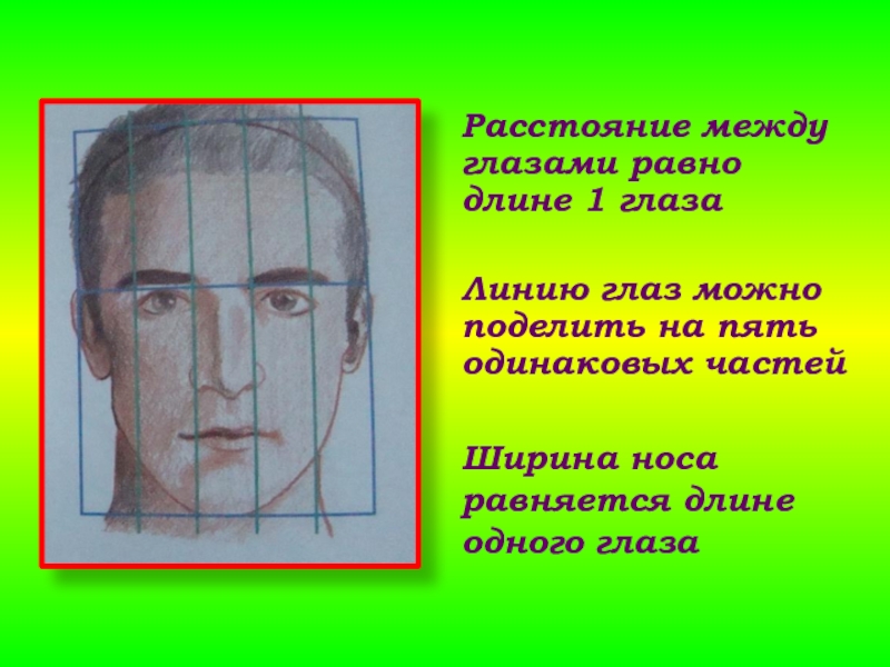 Основные пропорции головы человека 6 класс изо. Расстояние между глазами. Расстояние между газами. Расстояние между глазами человека. Между глаз.