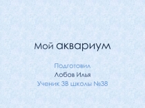 Детская презентация учащегося 3 класса Лобова Ильи на тему: Мой аквариум