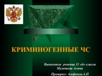 Презентациия по обж Криминогенные Чрезвычайные ситуации