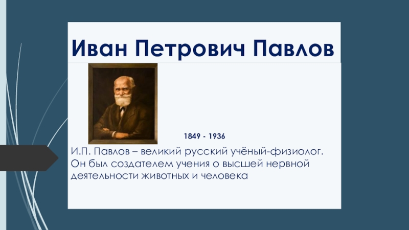 Читать вел павлов эрсус. Ивана Петровича Павлова(1849 – 1936). Презентация про Павлова Ивана Петровича.