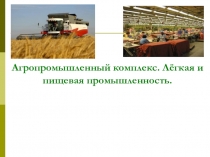 Презентация Агропромышленный комплекс России