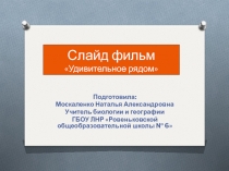 Удивительное рядом