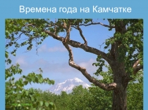Времена года на Камчатке