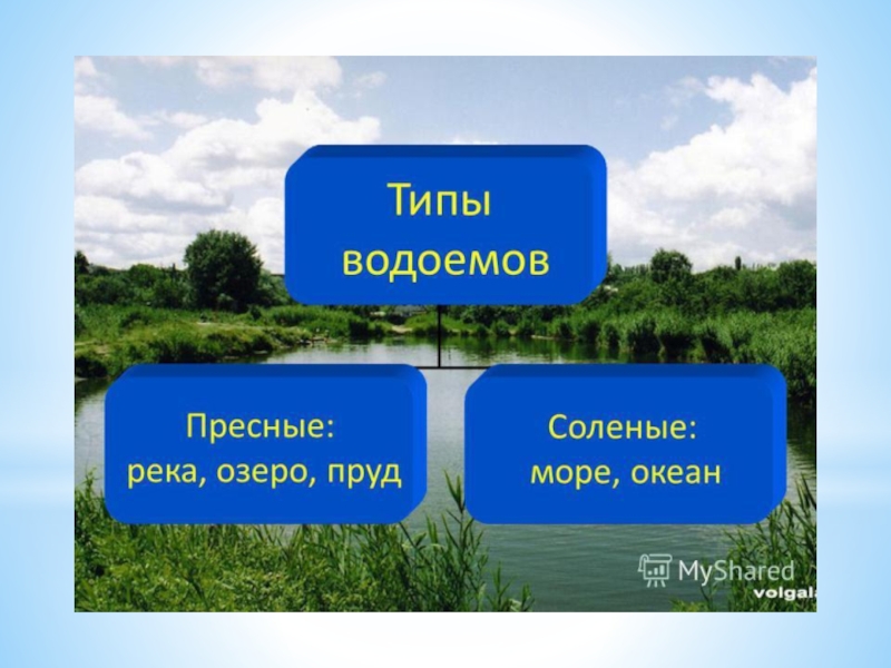 Какие бывают водоемы 2 класс окружающий мир 21 век презентация