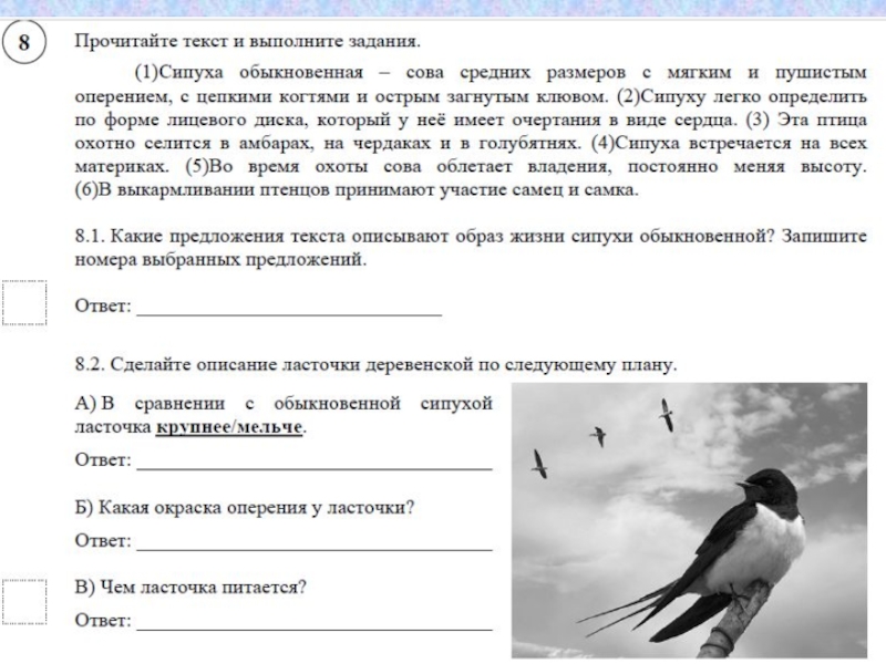 Впр текст про птиц
