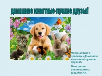 Презентация к проекту на тему Домашние животные-лучшие друзья!