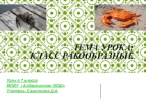 Презентация по биологии на тему Класс ракообразные (7 класс)