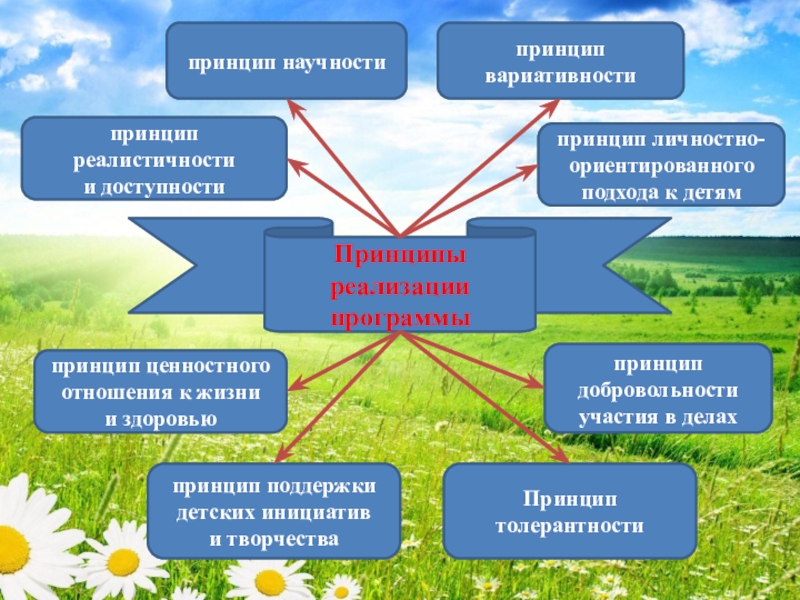 Презентация программы детского оздоровительного лагеря