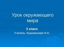 Презентация к уроку Искусственное сообщество-поле