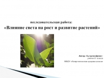 Презентация Влияние света на рост растений
