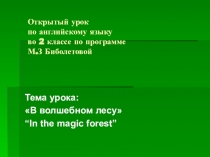 Урок с использованием презентации.