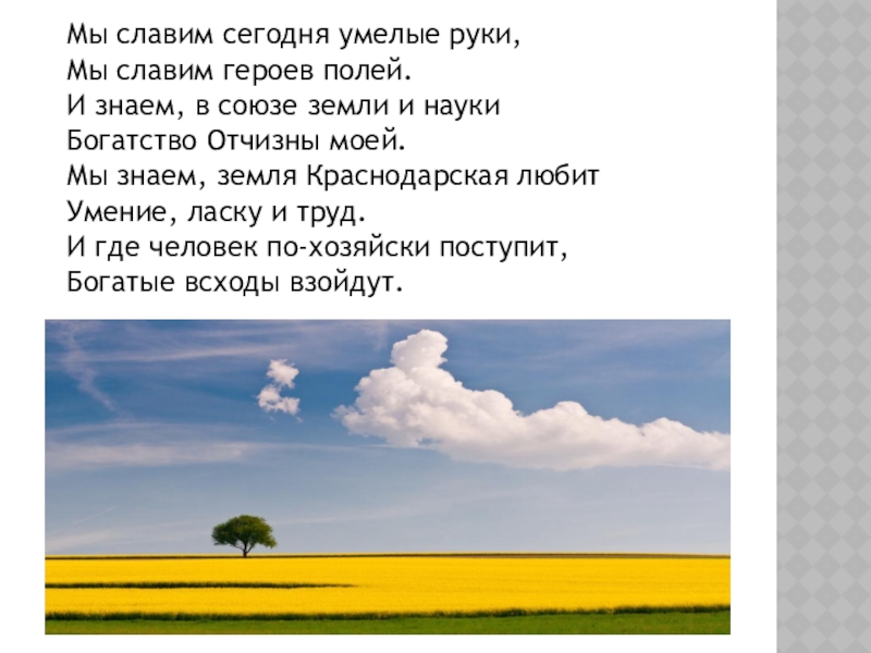 Презентация по кубановедению твои земляки труженики