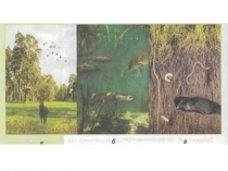 Среды жизни планеты земля