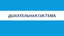 Презентация по биологии на тему:  Дыхательная система животных (7 класс)