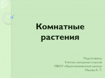 Презентация к уроку окружающего мира на тему Комнатные растения (2 класс УМК Школа России)