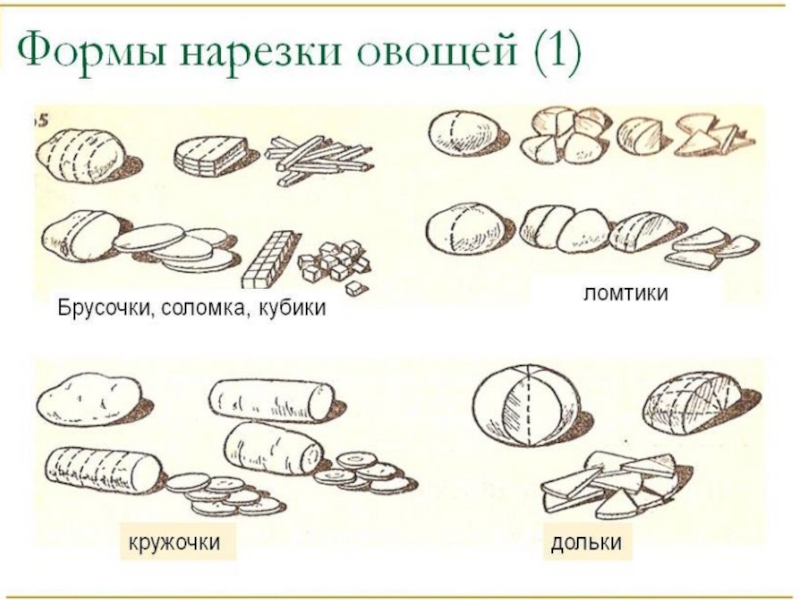 Подпиши под рисунками названия формы нарезки овощей