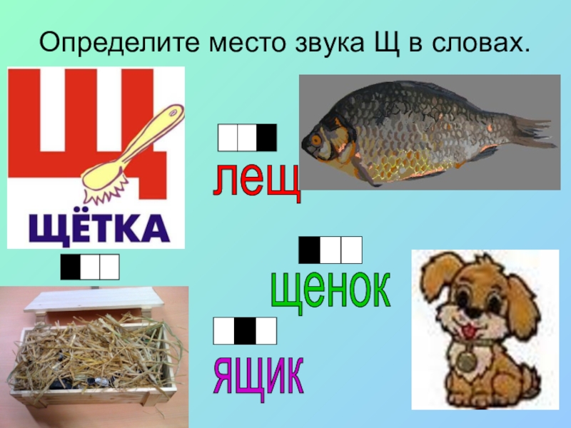 Презентация дифференциация ц щ